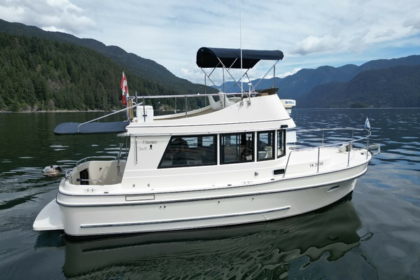 31ft Camano Yacht For Sale