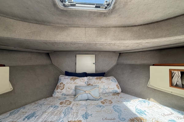 31ft Camano Yacht For Sale
