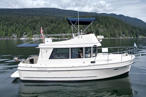 31ft Camano Yacht For Sale