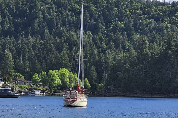 36ft Canadian Sailcraft Yacht For Sale