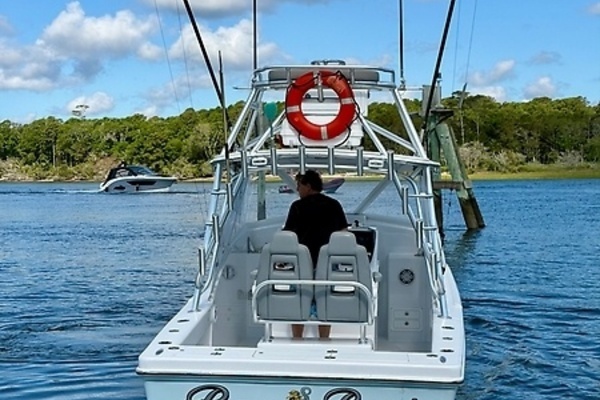 Photo of the 1973 Custom Carolina 27 National "Rare Breed"