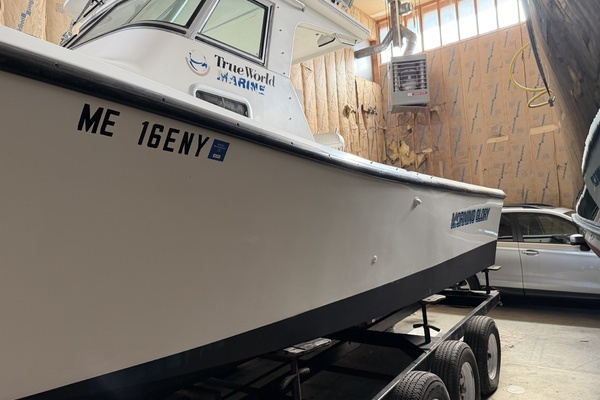 Photo of the 1999 True World Marine TE286 "Morning Glory"