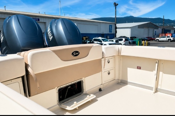 26ft Scout Yacht For Sale