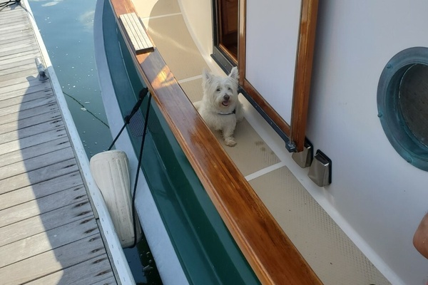 Trilogy 38ft Benford Yacht For Sale