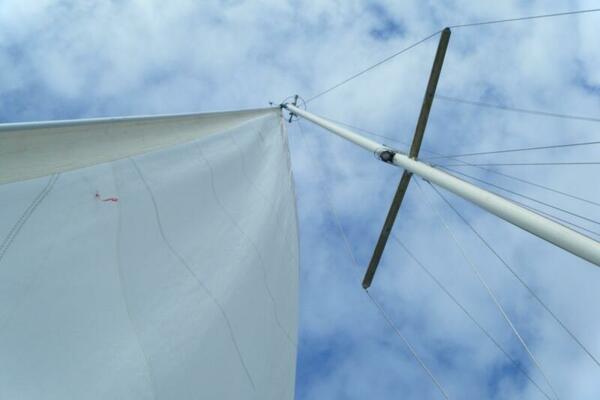 Radiance 41ft Catalina Morgan Yacht For Sale