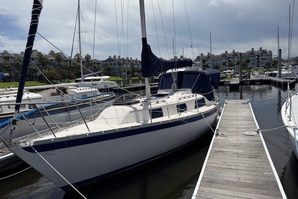 Photo of the 1979 Irwin Citation "Honky Tonk"