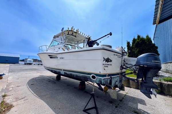 1999 Pursuit 33