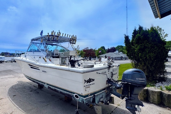 1999 Pursuit 33