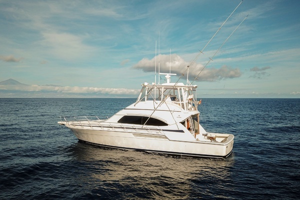 Bertram 510 Convertible Yacht For Sale