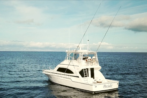 Pecado 51ft Bertram Yacht For Sale