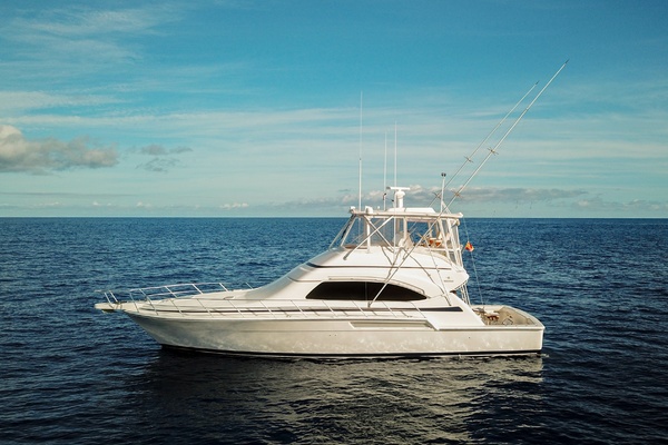 Pecado 51ft Bertram Yacht For Sale