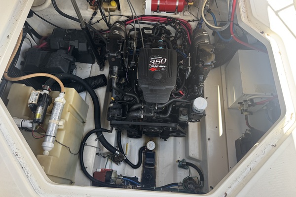 Pax 26ft Sea Ray Yacht For Sale