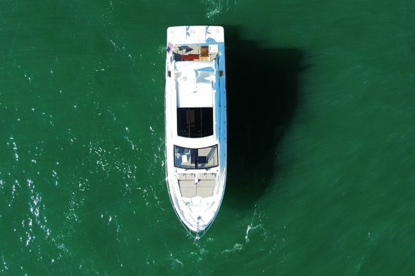Photo of the 2019 Sea Ray 520 Sundancer "REFLECTION"