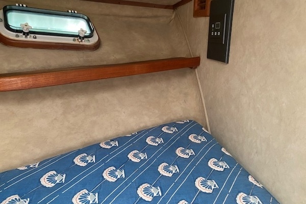 Night Moves 35ft Bertram Yacht For Sale
