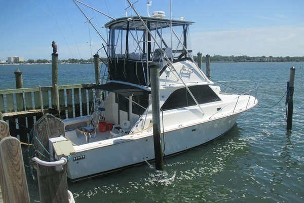 Photo of the 1984 Bertram 35 Convertible "Night Moves"