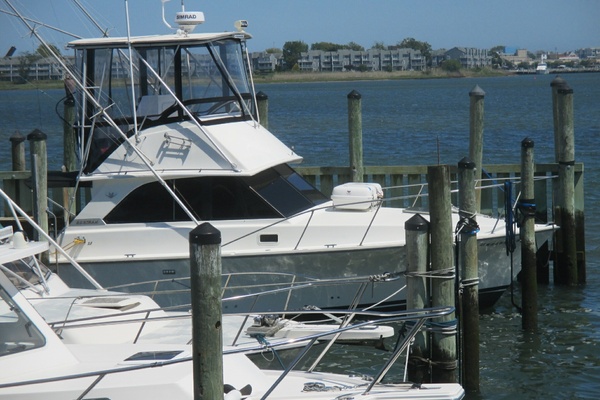 Night Moves 35ft Bertram Yacht For Sale