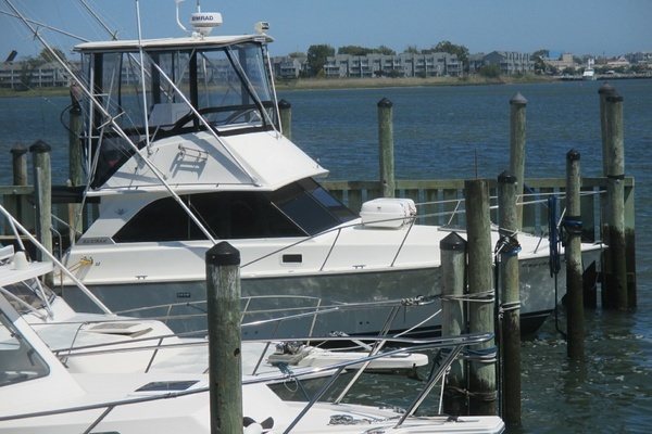 Photo of the 1984 Bertram 35 Convertible "Night Moves"