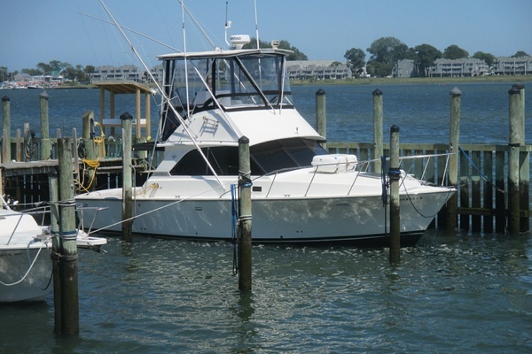 Photo of the 1984 Bertram 35 Convertible "Night Moves"