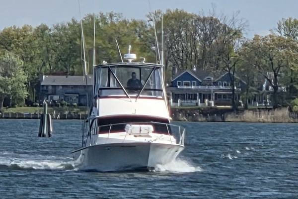Photo of the 1984 Bertram 35 Convertible "Night Moves"