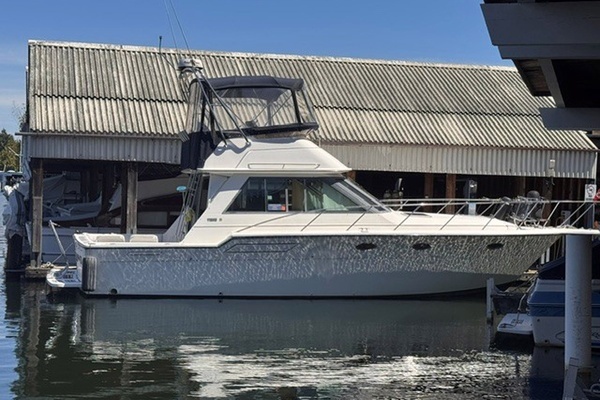 36-ft-Tiara Sport-1988-3600 Convertible-ADVENTURE BOUND Seattle  Washington United States  yacht for sale