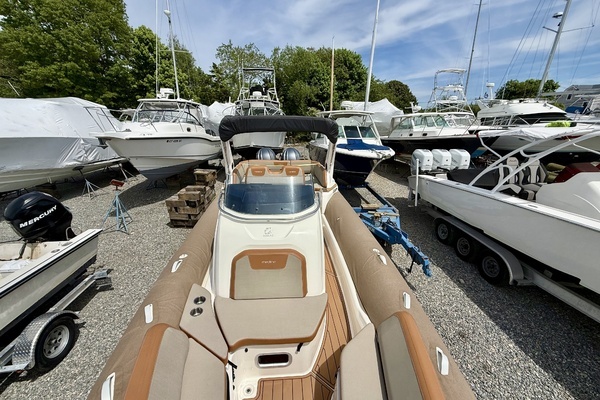 2024 Zodiac 29