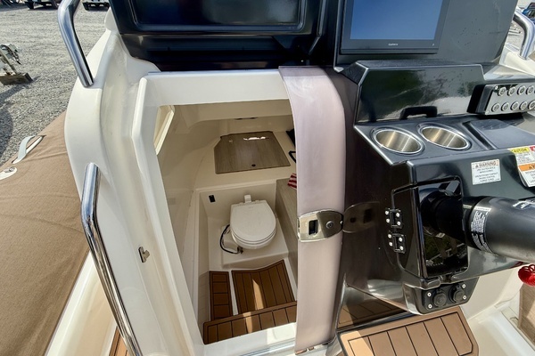 2024 Zodiac 29