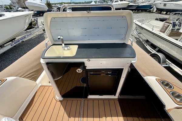 2024 Zodiac 29