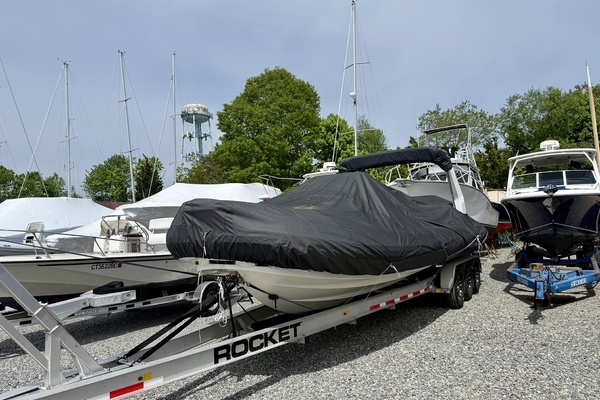 2024 Zodiac 29
