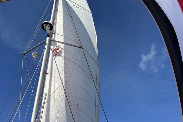 Photo of the 2018 Bali 4.1 "Lagertha "