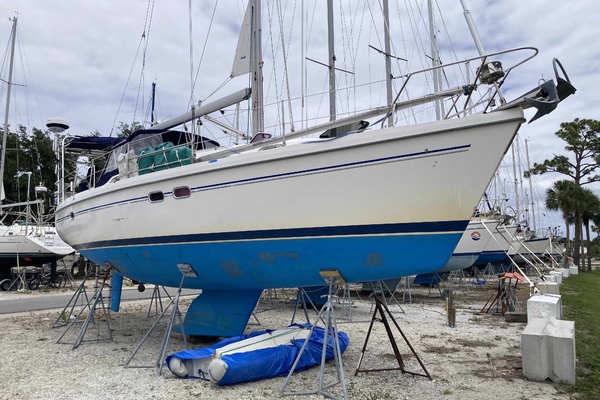 Scout 38ft Catalina Yacht For Sale
