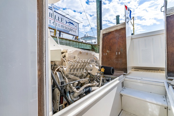 Pic s Kicks 31ft Bertram Yacht For Sale