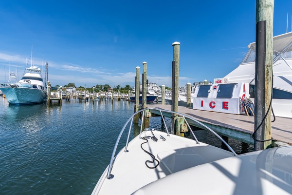 Pic s Kicks 31ft Bertram Yacht For Sale