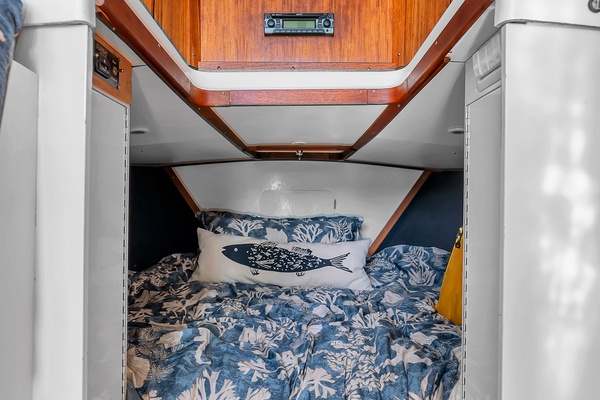 Pic s Kicks 31ft Bertram Yacht For Sale