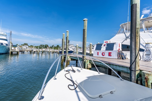 Pic s Kicks 31ft Bertram Yacht For Sale