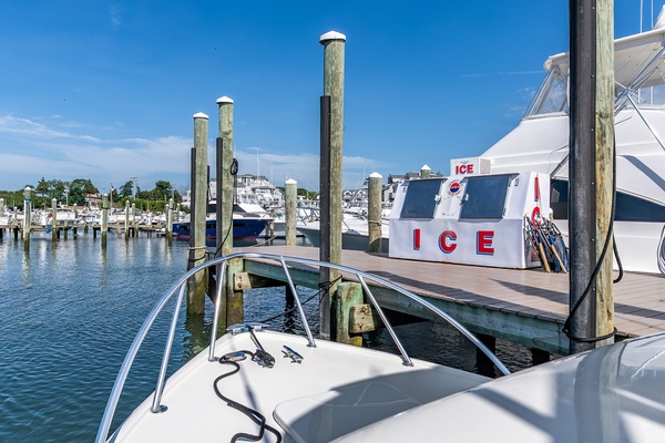 Pic s Kicks 31ft Bertram Yacht For Sale