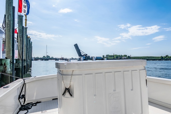 Pic s Kicks 31ft Bertram Yacht For Sale