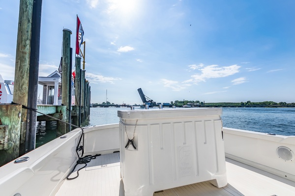 Pic s Kicks 31ft Bertram Yacht For Sale