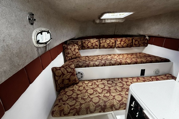Double Trouble      29ft Pro Sports Yacht For Sale