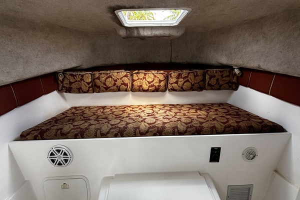Double Trouble      29ft Pro Sports Yacht For Sale