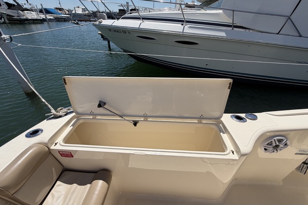 24ft Scout Yacht For Sale