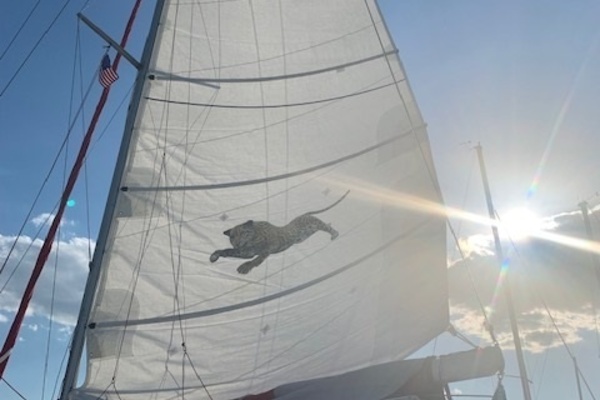 36ft Jaguar Catamarans Yacht For Sale