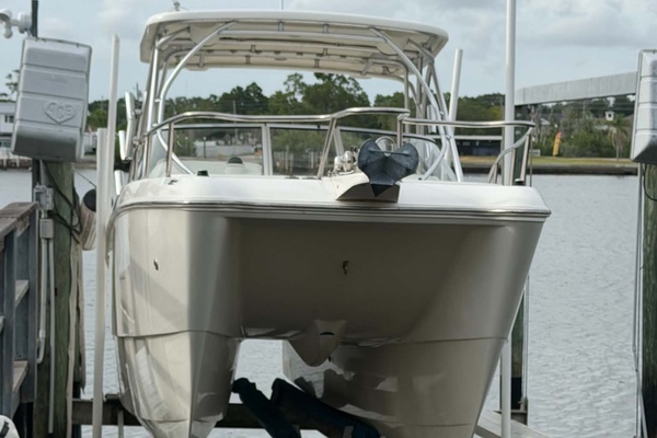 26ft World Cat Yacht For Sale