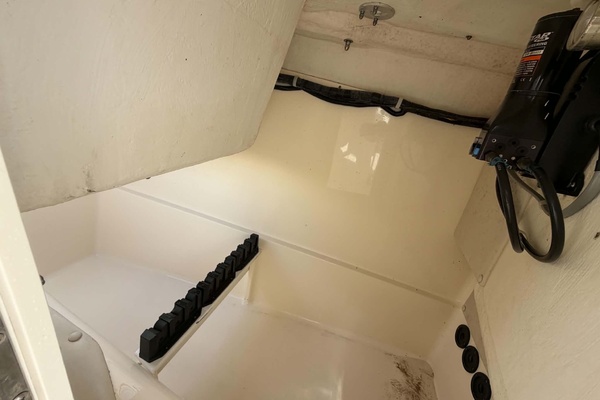 26ft World Cat Yacht For Sale