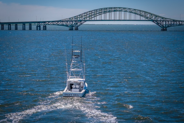 Salty Dog 38ft Young Brothers Yacht For Sale