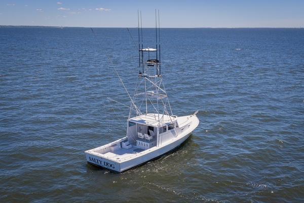 Photo of the 1993 Young Brothers  "Salty Dog"