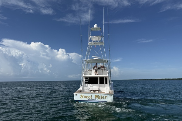 2000 Viking 55