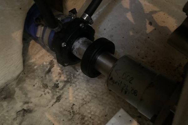 0005768853