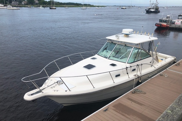Dockside Bow