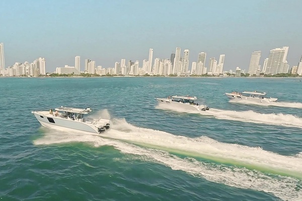 Photo of the 2024 Yachtcat 