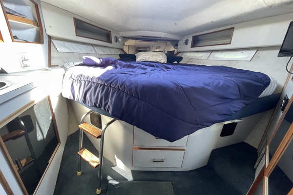39ft Sea Ray Yacht For Sale